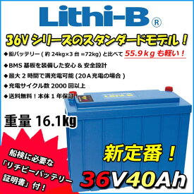 感謝価格！ リチビー(Lithi-B) リチウムバッテリー 36V40Ah LiFePO4 (リン酸鉄リチウムイオンバッテリー) 【送料無料】【5000台突破】