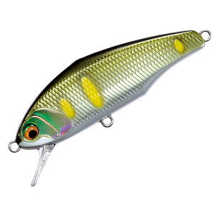 X~X D-CTCg 53 wr[VLO #08.AnN y[OKz