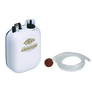 OGK RpNgGA[|v(2Xs[h) drʔy[NGz