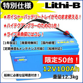 【50台限定モデル！】 リチビー（Lithi-B）バッテリー 12V 100Ah （LiFePO4) 【送料無料】【5000台突破】