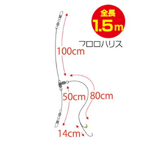 I[i[ Dq̊{@VO #12 #nX5 #8y[OKz