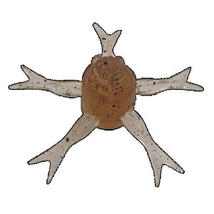 yizWbJ W~[wW50 #Gry[NGz