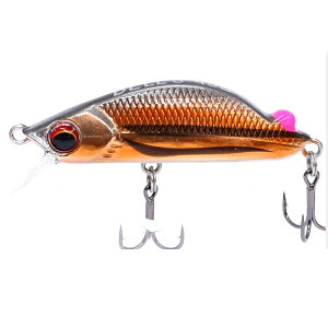 �t�H���X�g �x���Y45S 5g �V���L���O #07 �E�O�CLtd�y���[����OK�z