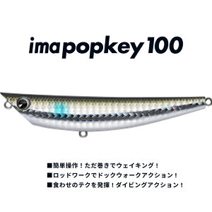 AYfUC ima |bL[ 100 #IP100-104.{ y[OKzy񂹑Ήiz