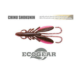 GRMA `kEl oOAc 2C` 萔5{ #287.ȂɂsNUV y[OKzy񂹑Ήiz