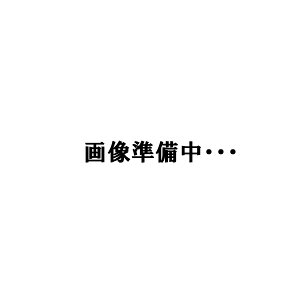 y2025ǉfz_C I[o[[A 1010M/MH-4EK 4s[X d@89cm d190gyoCbhz