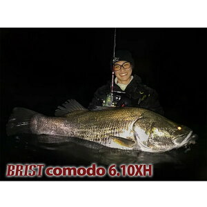 tBbV} BRIST comodo(uXgRh) 6.10XH d206gy񂹑Ήiz