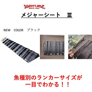 EH[^[h W[V[g III 2025VF ubN y[NGz