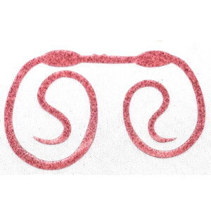 { RuEXJ[[ 4 #03 A~GrsNy[OKz