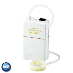 _CgEuN uNuN(GA[|v) nCp[GA[|v HA-1800y[NGz