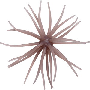 ハイドアップ 旧コイケ ソフトマテリアル 入り数3個入 エラストマー素材 #257.ミミズ 【メール便NG】【FECO認定商品】