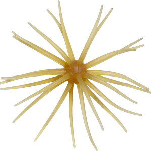 ハイドアップ 旧コイケ ソフトマテリアル 入り数3個入 エラストマー素材 #263.クリリンキントキ 【メール便NG】【FECO認定商品】