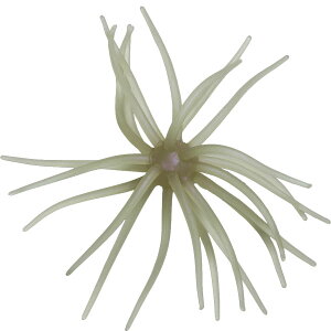 nChAbv RCP \tg}eA 萔3 GXg}[f #267.NA[JTM y[NGzyFECOF菤iz