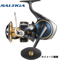 楽天市場】ソルティガ 20 14000の通販