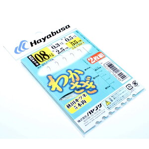 nuT 킩d| HcLcl CZ004 #0.8nX0.30.5 S55cmy[OKz