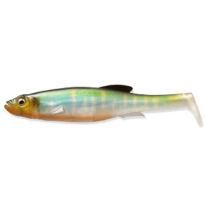 KoX }Ohtg t[X^C 5C`ICJy[NGz