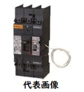 pi\jbN Rdu[J[ P3p BJWN-125 3P 125A 30mA BJWN31253