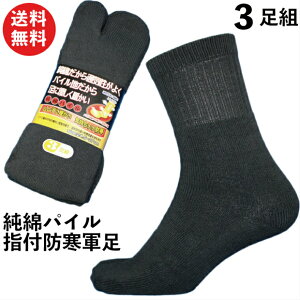 C̑wŒgʋCǂɂC ȃpC hwt \bNX O[ 3g 24.5`27cm R JP737 | C am  ~p h ۉ   Y SCpC hC 