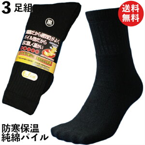 C̑wŒgȂʋCǂɂ ȃpC h یC  3g Y \bNX 24.5`27cm ~p R JP733 | C am ۉ ~p     SCpC h