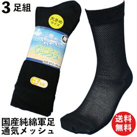 楽天市場 夏 涼しい 靴下 メンズの通販