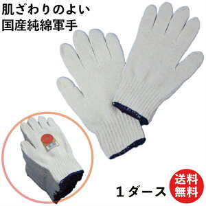 iȍY 100% R 12o ł 320 |   Y   Ɨp jp _ Ɨp AEghA { 100% o[xL[ K[fjO | ܂