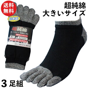 C Y V[g 傫߃TCY 5{wu{ȁv̋xƕɂZQ 100 R  3g 27`29cm SC62L |\bNX  Ԃ ܖ{w SC Ɨp LLTCY Y\