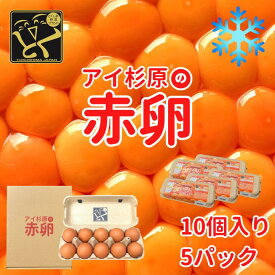 【クール便】アイ杉原の赤卵 50個 生卵40個＋破損保証10個 徳島県知事認定 とくしま特選ブランド認定品 この卵ハマります！ 徳島県産 朝採り 産みたて 農場直送 ギフト お取り寄せ 詰め合せ 御中元 御歳暮 母の日 父の日