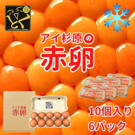 【クール便】アイ杉原の赤卵 Lサイズ 60個 生卵45個＋破損保証15個 徳島県知事認定 とくしま特選ブランド認定品 この卵ハマります！ 徳島県産 朝採り 産みたて 農場直送 ギフト お取り寄せ 詰め合せ 御中元 御歳暮 母の日 父の日