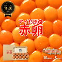 【常温便】アイ杉原の赤卵 Lサイズ 30個 生卵25個＋破損保証5個 卵 たまご 鶏卵 生卵 取り寄せ グルメ お取り寄せグルメ 美味しい 新鮮 新鮮な生卵 産みたて卵 赤い卵 赤卵 直送 産地直送 養鶏 養鶏場 健康 高級 ギフト 贈答用 お歳暮 お中元 徳島 徳島県産