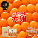 【常温便】アイ杉原の赤卵 Lサイズ 50個 生卵40個＋破損保証10個 卵 たまご 鶏卵 生卵 取り寄せ グルメ お取り寄せグ…