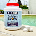 【Pool Clean SLOW／ゆっくり溶けるタイプ】プールメンテナンス 塩素 プール消毒 スロー塩素 家庭用プール 施設用プー…