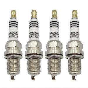 �C���W�E���X�p�[�N�v���O BKR6EIX-11 4272
