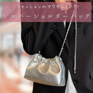 シルバーバッグ ショルダーバッグ 小さめ」の人気商品一覧 | 安い商品 