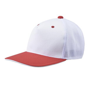 fTg DESCENTE 싅LbvEoCU[ tgplLbv C-7001