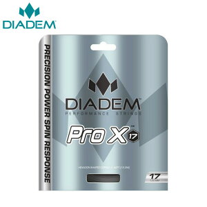 _CAf DIADEM ejXKbgEXgO Pro X v GbNX 16L P DIA-TFA008