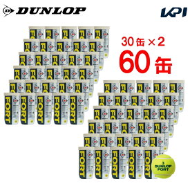 【365日出荷】「あす楽対応」DUNLOP(ダンロップ)FORT(フォート)[2個入]2箱セット(30缶×2=120球)テニスボール 『即日出荷』