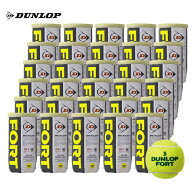 『即日出荷』DUNLOP（ダンロップ）「FORT（フォート）[2個入]1箱（30缶/60球）」テニスボール
