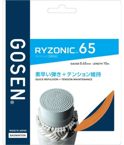 S[Z GOSEN oh~gKbgEXgO C]jbN 65 RYZONIC 65@200m[ BSRY652