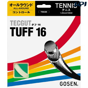 �u��5���Z�b�g�vGOSEN�i�S�[�Z���j�u�e�b�N�K�b�g�^�t16�vts620�d���e�j�X�X�g�����O�i�K�b�g�j�yKPI�z