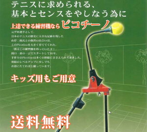 ejXK@ȂsR`[młłejX̗Ko܂ ȒP̌{[΁AEdEd炩12ǂłp\łBPicotino