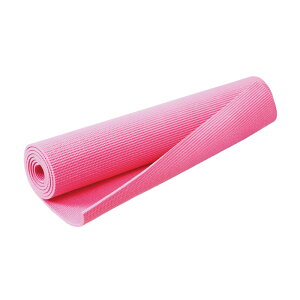 PROWING �v���E�B���O �t�B�b�g�l�X�ݔ��p�i ���K�}�b�g�@6mm PWF-05PK