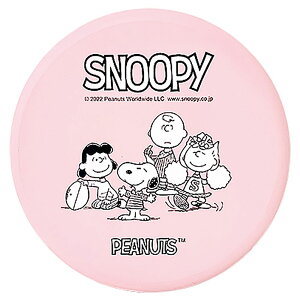 TNCf ̑̑ tCOfBXN SN-3