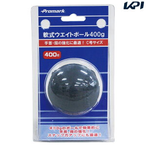 TNCf 싅̑ pEFCgg[jO{[@400g WB-500J