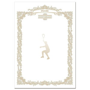 jbNX }`SP̑ X|[cڕʏ܏p ejX FD13-87