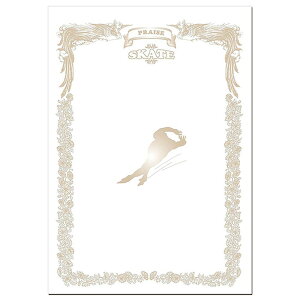 jbNX }`SP̑ X|[cڕʏ܏p XP[g FD13-95