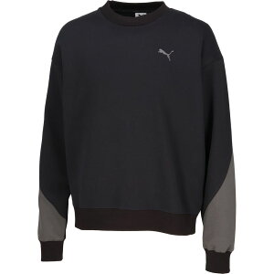 v[} PUMA }`SPEFA Y CORE HERITAGE MX N[XEFbg 690137 2025FW