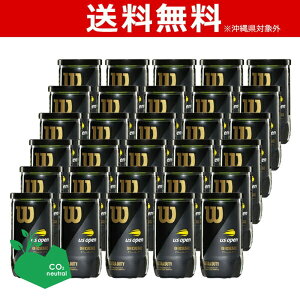 ySDGsvWFNgzWilson EC\ US Open Extra Duty USI[vEGNXgEf[eB 1=30[60] WRT1000J ejX{[ woׁx