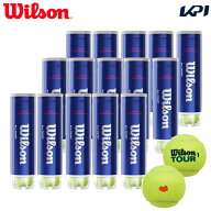 【SDGsプロジェクト】「KPIオリジナルモデル」Wilson ウイルソン TOUR STANDARD ツアー・スタンダード 1…
