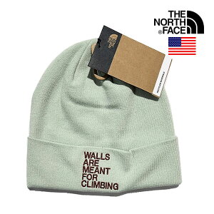 ザ・ノース・フェイス USAモデル ロゴ ビーニー ニットキャップ THE NORTH FACE DOCK WORKER RECYCLED BEANIE【9657311702-sage】mqs