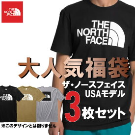 The North Face USAモデル ノースフェイス メンズ Tシャツ 3枚セット 福袋【ad870】q